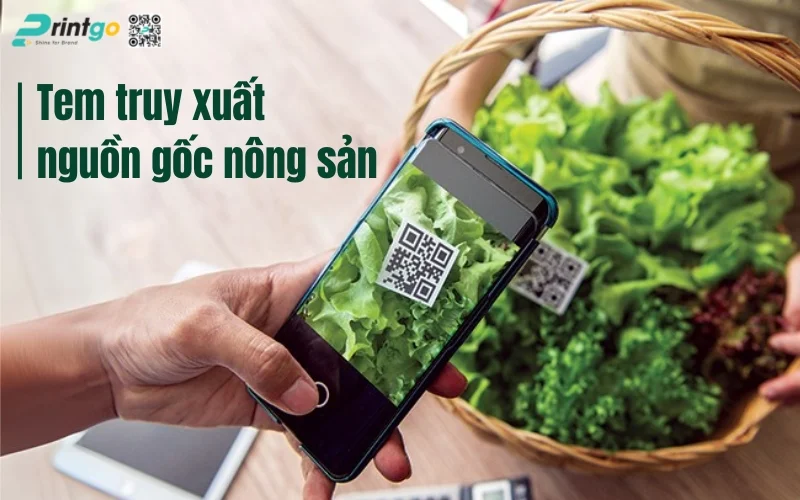 1001 Mẫu Tem Truy Xuất Nguồn Gốc Nông Sản Đẹp & Đạt Chuẩn