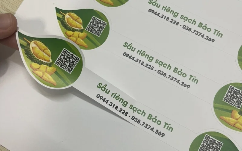 Tem dán sầu riêng hoặc bao lưới 