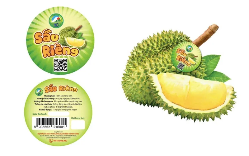 Tem xuất khẩu sầu riêng tròn dán trực tiếp lên trái