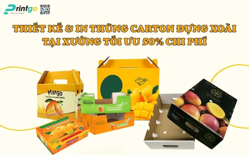 Bộ Sưu Tập 99+ Mẫu Thùng Carton Đựng Xoài Xuất Khẩu Đẹp Nhất