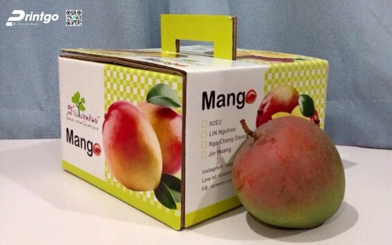 Thùng carton đựng xoài dạng quai xách Thùng carton đựng xoài dạng quai xách