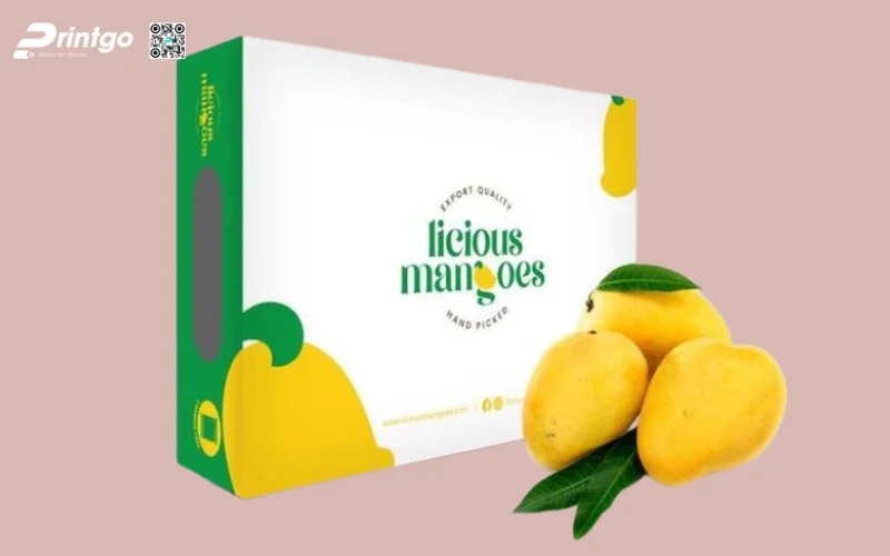 Mẫu hộp carton lạnh đựng xoài Mẫu hộp carton lạnh đựng xoài