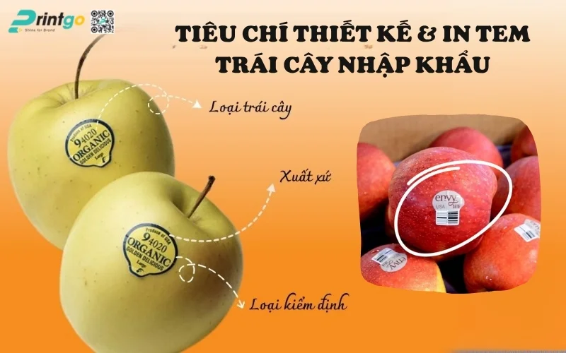 Tiêu chí thiết kế & in tem trái cây nhập khẩu đạt chuẩn