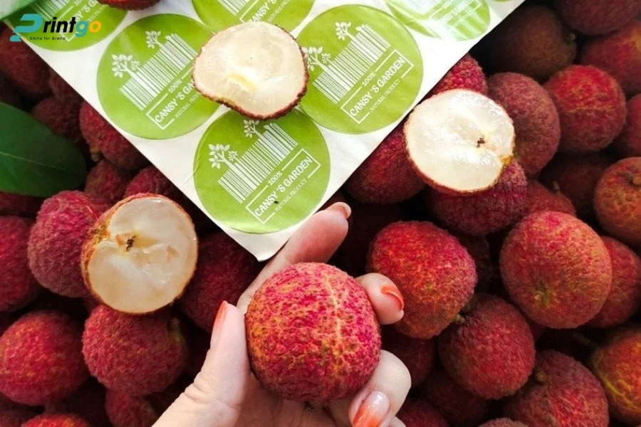 uân thủ tiêu chuẩn xuất khẩu khi thiết kế hộp vải thiều