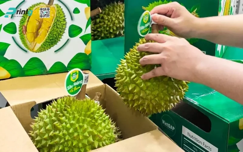 Vai trò của tem xuất khẩu sầu riêng trong hành trình chinh phục thị trường quốc tế
