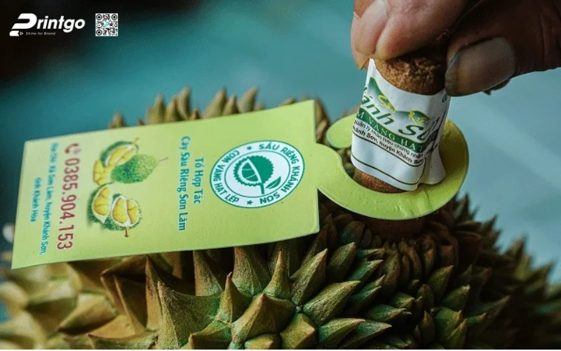 Xưởng in tem sầu riêng xuất khẩu đạt chuẩn OCOP 2025 