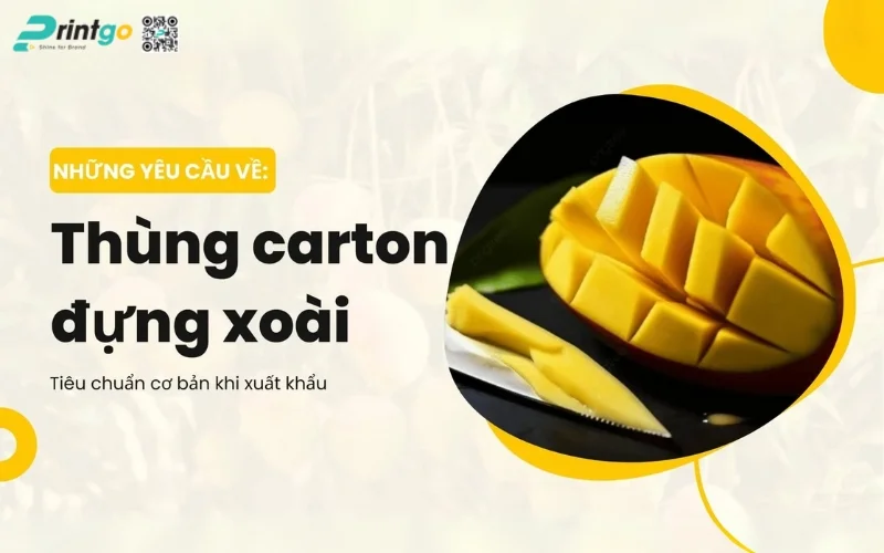 Yêu cầu của thùng carton đựng xoài khi xuất khẩu Yêu cầu của thùng carton đựng xoài khi xuất khẩu