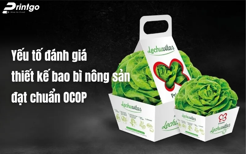 Yếu tố đánh giá một thiết kế bao bì nông sản đạt chuẩn