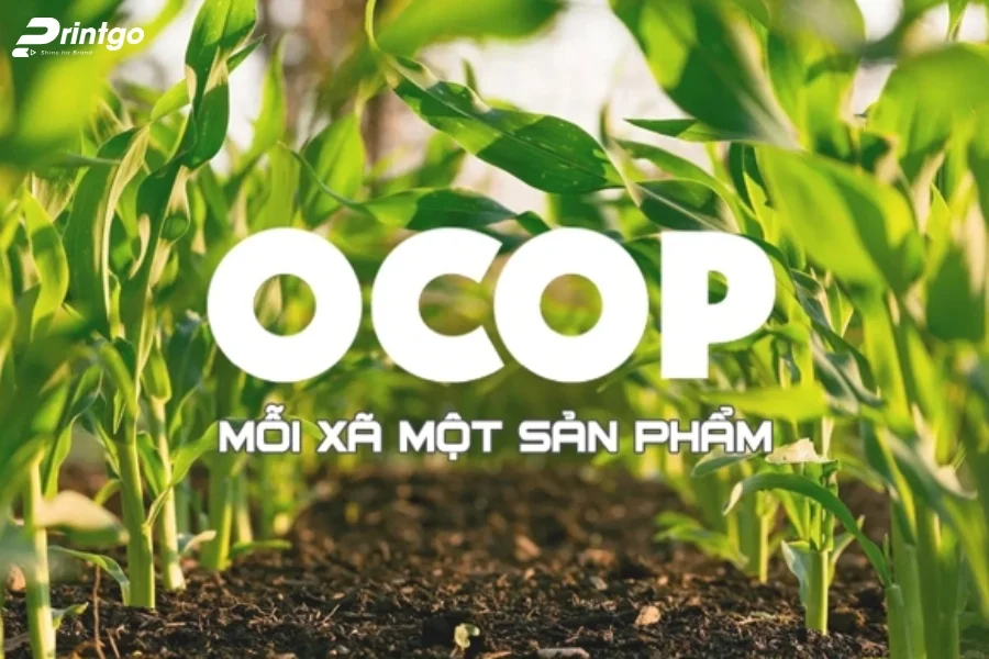 5 yếu tố tạo nên mẫu logo đẹp logo nông sản chuẩn bản sắc Việt