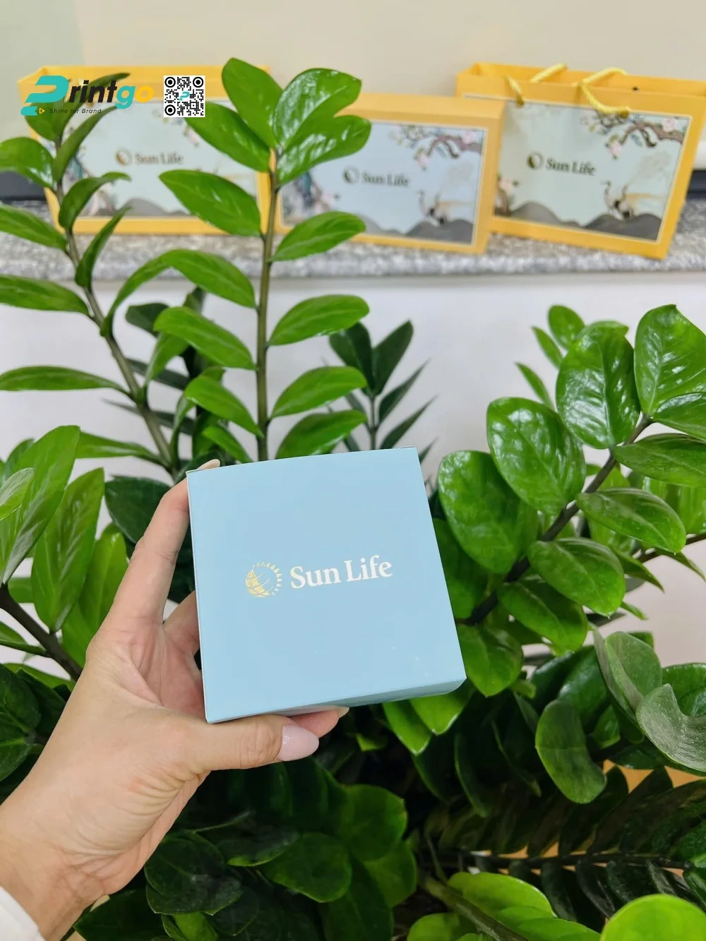 Thiết kế và in hộp bánh trung thu Sun Life do Printgo thực hiện
