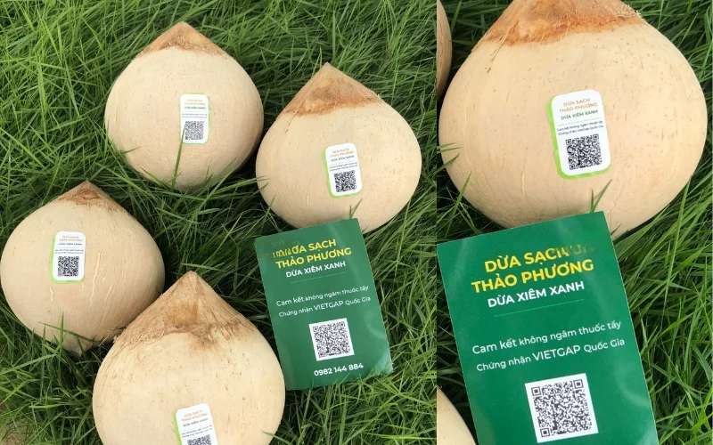 Mẫu in tem dừa truy xuất nguồn gốc