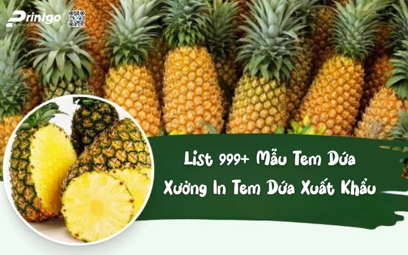 Tổng hợp 999 mẫu in tem dứa xuất khẩu độc quyền ấn tượng nhất 2025