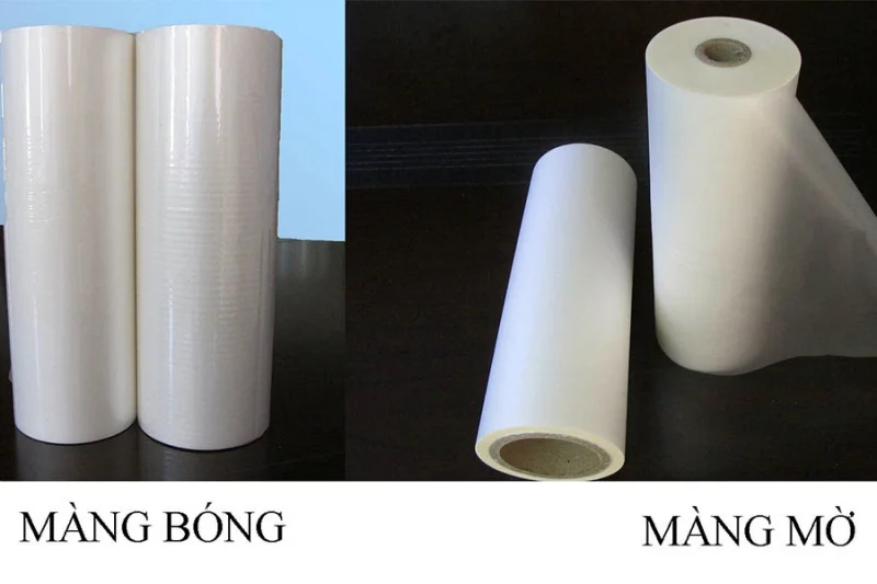 Lưu ý kỹ thuật khi cán màng