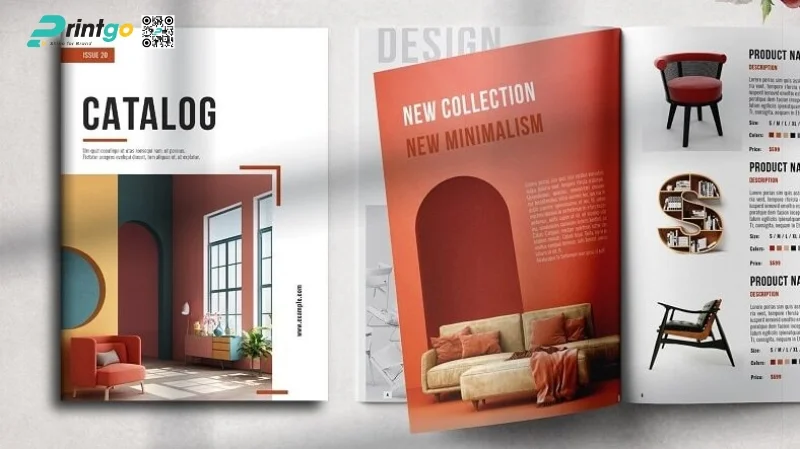 Thiết kế bố cục hợp lý, rõ ràng