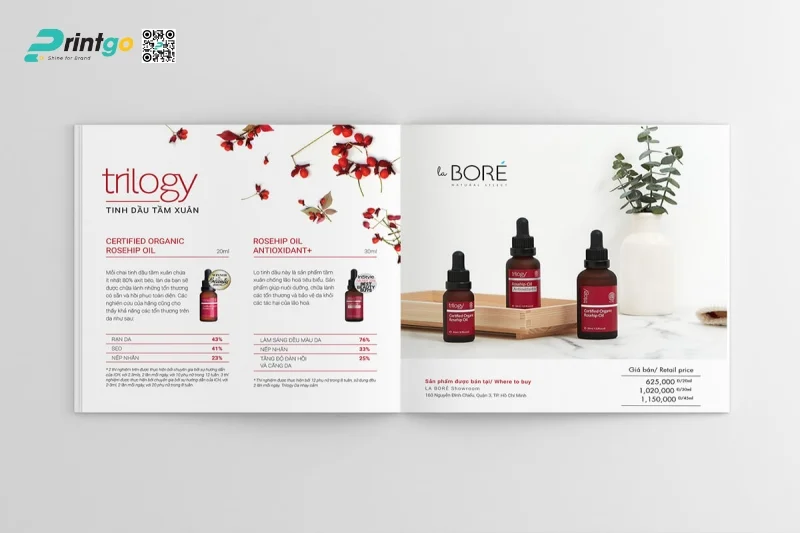 Mẫu catalogue ngành mỹ phẩm