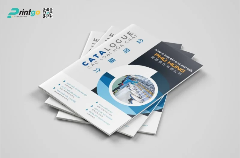 Mẫu catalogue giới thiệu sản phẩm 