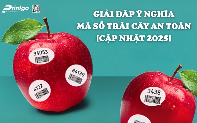Đọc Hiểu Tem Mã Số Trái Cây An Toàn & Phân Biệt Trái Cây Sạch [Cập Nhật 2025]