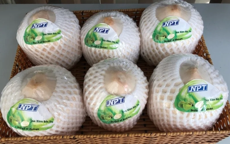 Mẫu in tem dừa dán quả ấn tượng