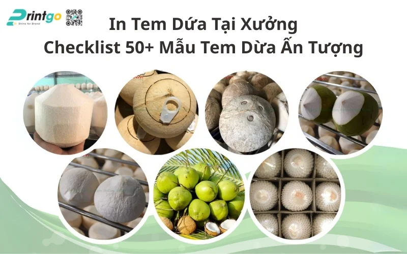 Xưởng In Tem Dừa Uy Tín – Giá Tốt - Giao Hàng Toàn Quốc