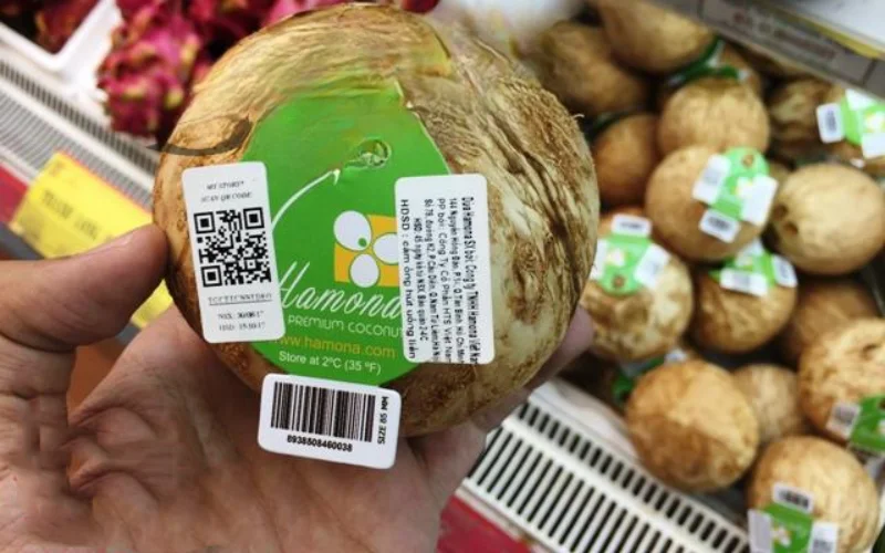 Mẫu in tem dừa truy xuất nguồn gốc