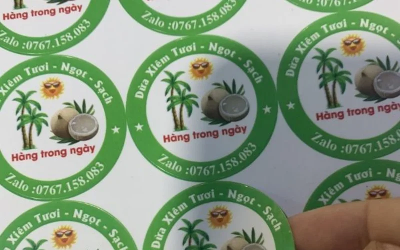 Mẫu in tem dừa thương hiệu riêng