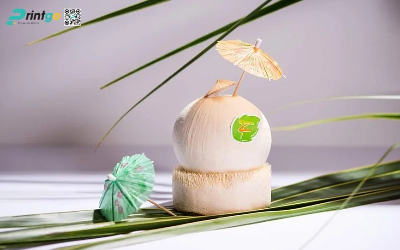 Mẫu in tem dừa dán quả ấn tượng