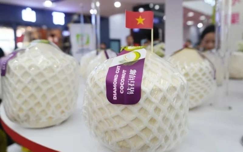 Mẫu in tem dừa xuất khẩu đạt chuẩn