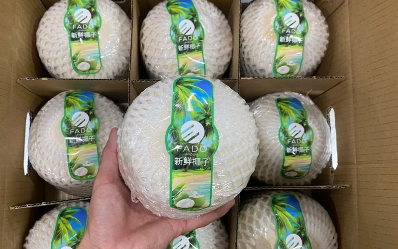 Mẫu in tem dừa xuất khẩu đạt chuẩn