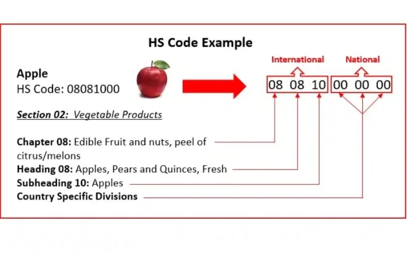 Mã số trái cây an toàn dạng HS (HS Code)