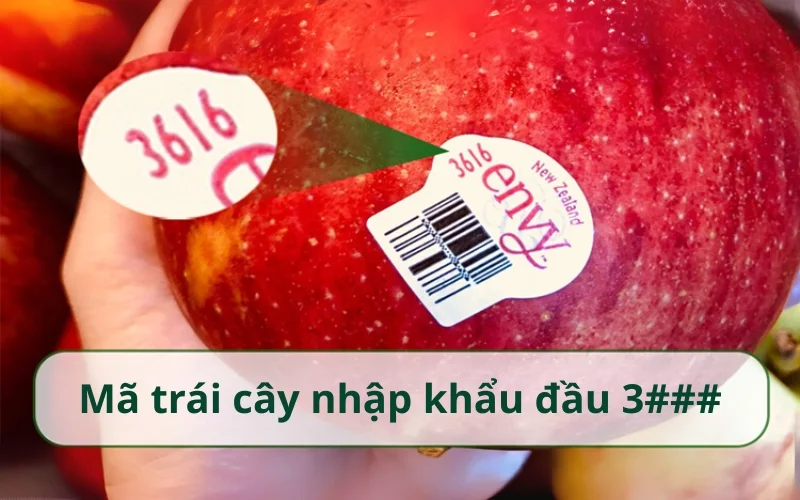 Mã số trái cây an toàn 4 chữ số bắt đầu bằng 3