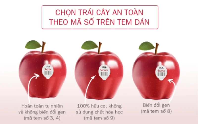 Mã số trái cây an toàn nên chọn khi mua trái cây nhập khẩu? 