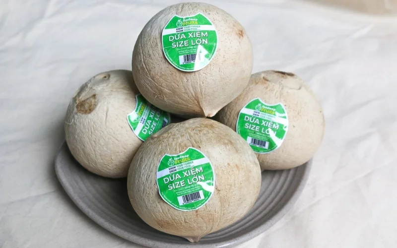 Mẫu in tem dừa dán quả ấn tượng