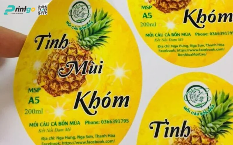 Các mẫu in tem dứa sấy khô - sấy dẻo