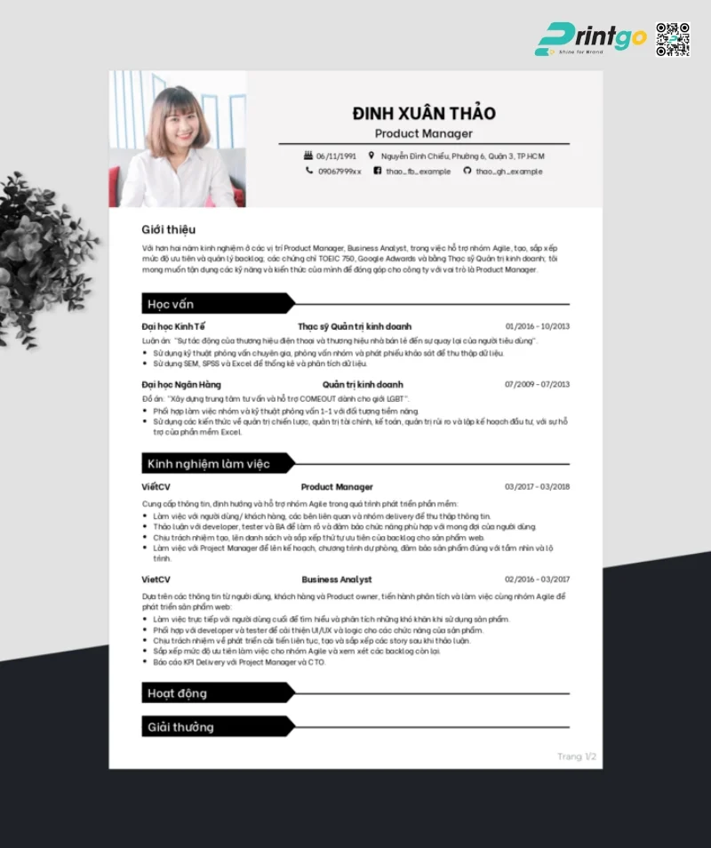Mẫu profile cá nhân chuyên nghiệp, chỉn chu 