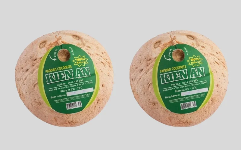 Mẫu tem nhãn dừa xiêm phổ biến Mẫu tem nhãn dừa xiêm phổ biến