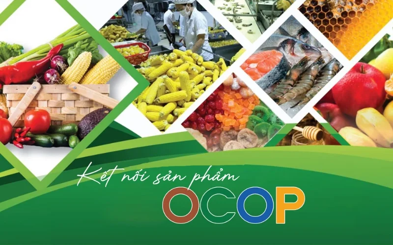 Những điều lưu ý khi thiết kế bao bì OCOP