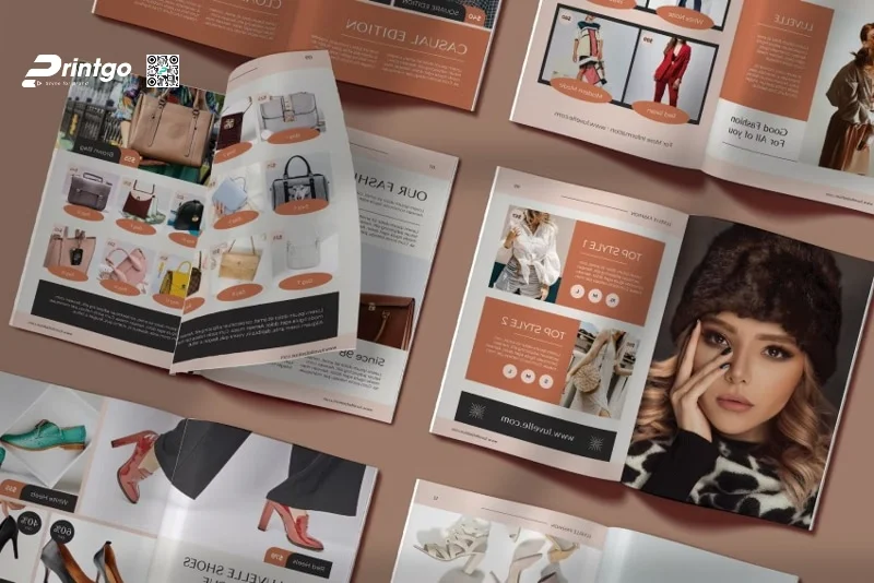 Tham khảo ngay top 15 phần mềm thiết kế catalogue miễn phí, phổ biến hiện nay