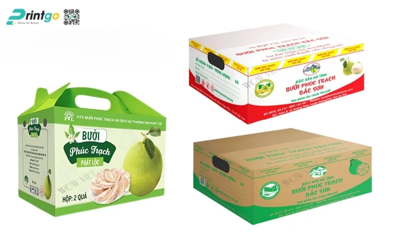 Yêu cầu thiết kế bao bì nông sản xuất khẩu
