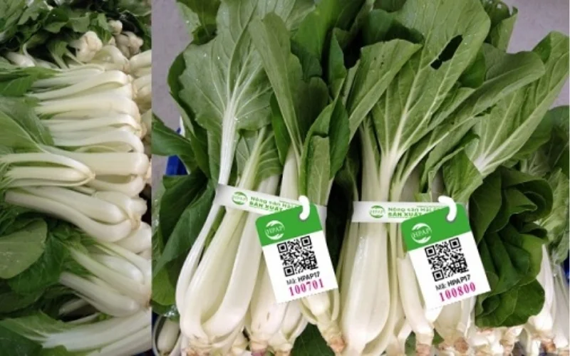 Tem nhãn rau củ dạng tem truy xuất nguồn gốc