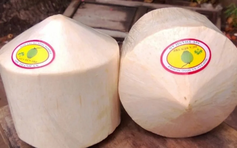 Mẫu tem nhãn dừa xiêm phổ biến Mẫu tem nhãn dừa xiêm phổ biến