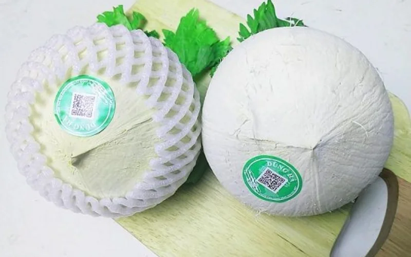 Mẫu in tem dừa dán quả ấn tượng
