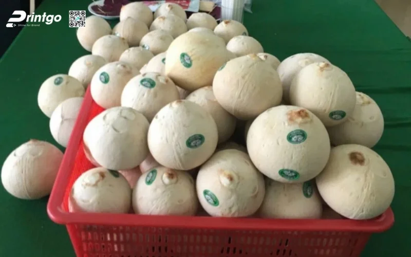  Xưởng in tem dừa uy tín cần đáp ứng những tiêu chí gì?