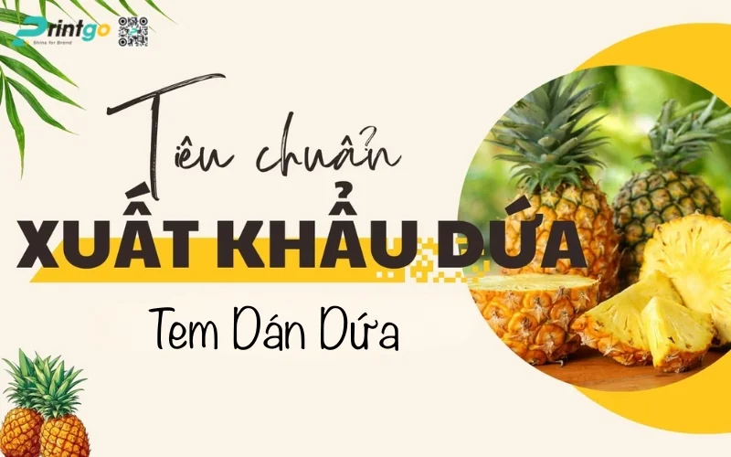 Review bộ sưu tập 999+ mẫu in tem dứa xuất khẩu độc quyền ấn tượng nhất