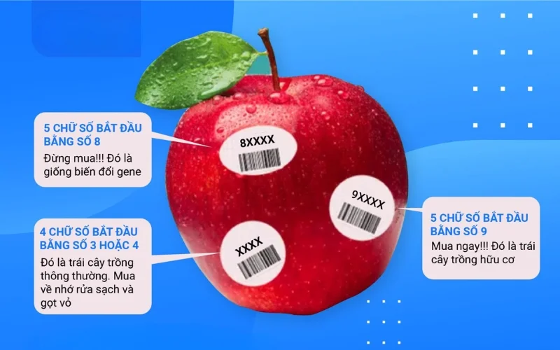 Phân loại mã số trái cây an toàn nhập khẩu