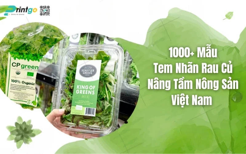 Thiết kế & in tem nhãn rau củ tại xương đạt chuẩn OCOP 2025