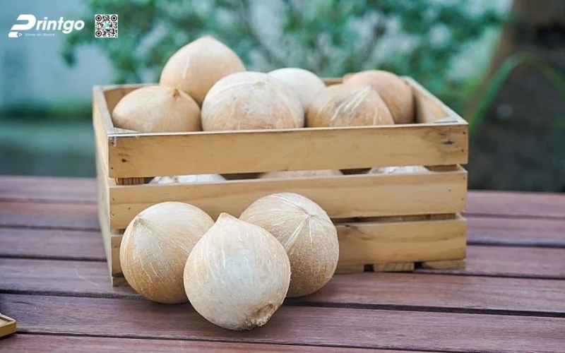 Ứng dụng của tem dừa trong kinh doanh và xuất khẩu