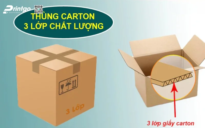 Các loại thùng phổ biến để xuất khẩu hàng hóa 3 lớp Các loại thùng phổ biến để xuất khẩu hàng hóa 3 lớp