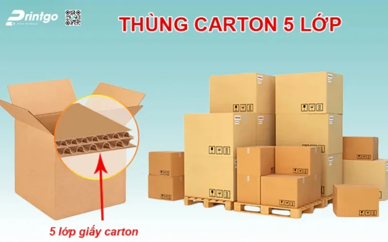 Các loại thùng phổ biến để xuất khẩu hàng hóa 5 lớp Các loại thùng phổ biến để xuất khẩu hàng hóa 5 lớp