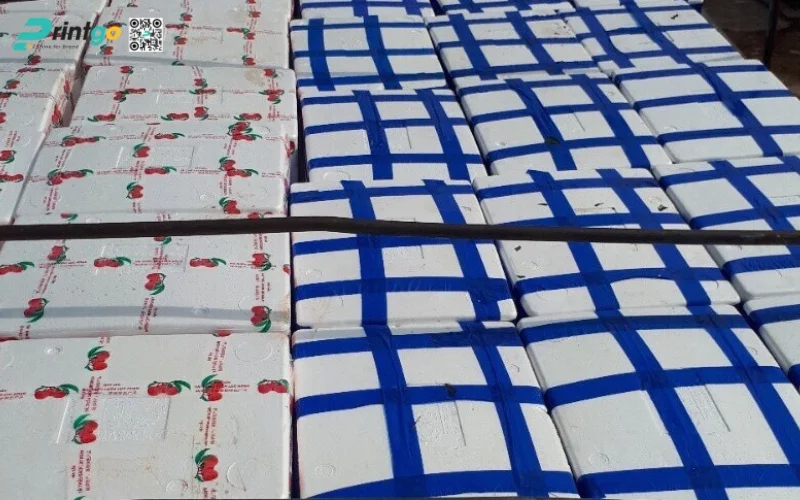 Các loại thùng phổ biến để xuất khẩu hàng hóa thùng xốp Các loại thùng phổ biến để xuất khẩu hàng hóa thùng xốp