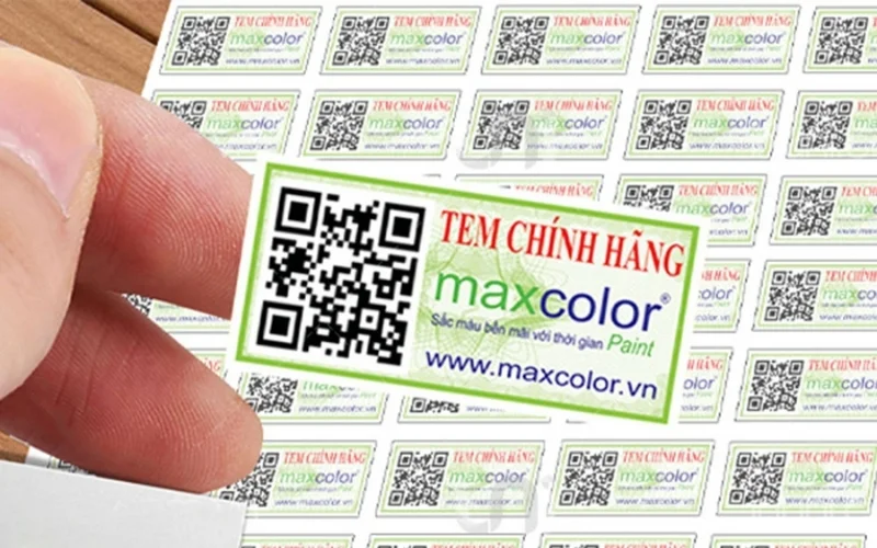Mẫu in tem niêm phong decal vỡ hình chữ nhật - tròn - elip 